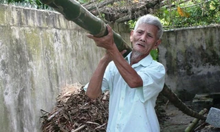 "Cụ thanh niên” Nguyễn Văn Đàm 93 tuổi vẫn vác tre, bê đá. 