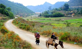 Vẻ đẹp tiềm ẩn trên những cung đường tình yêu cao nguyên đá Hà Giang