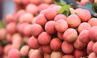 Cách dùng quả vải chữa yếu sinh lý cho quý ông