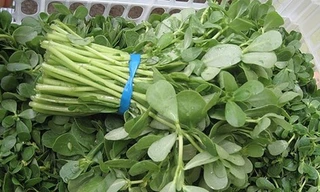 Trị mụn bọc, mụn trứng cá siêu nhanh bằng các loại rau vườn nhà