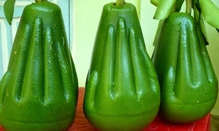 Bưởi lễ tạo hình bàn tay Phật. 