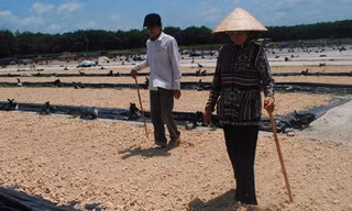 Vợ chồng ông Bén, bà Lệ ráng làm thêm vài năm để về quê sửa nhà.