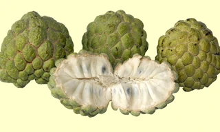 6 lợi ích tuyệt vời khi ăn na