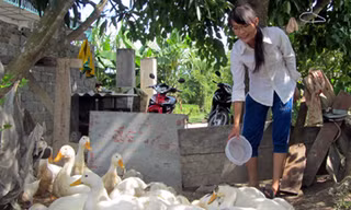 Ngoài thời gian đến lớp, Nga luôn chăm lo việc nhà cho gia đình dì dượng.