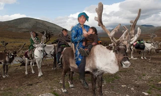 Đối với người Tsataan, tuần lộc không chỉ là một loài vật nuôi gắn liền với cuộc sống của họ, mà còn mang ý nghĩa như một biểu tượng văn hóa.