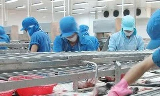 Người đưa MC Fish Việt Nam 'vượt biển'