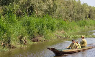 Trưởng phòng thanh tra Phòng chống tham nhũng bị bắt