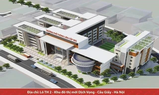 Học sinh Đa Trí Tuệ MIS đạt giải xuất sắc ‘thách thức tư duy thuật toán-Bebras'