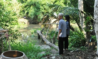 Cuộc sống bình dị của gia đình 'cô gái vàng' Ánh Viên