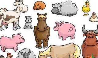 Phòng ngừa chó, mèo gây bệnh cho người