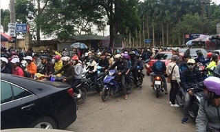 Dân phượt kéo đến ngắm hoa dã quỳ, Ba Vì “thất thủ“