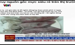 Nguồn gốc mực lạ giá “siêu rẻ” trên thị trường