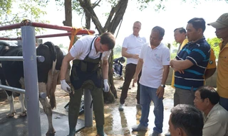 Chủ đề chương trình tập huấn 2018 tập trung vào chăm sóc móng bò sữa