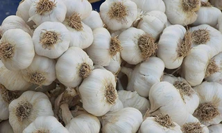 Trong thành phần của tỏi chứa hàm lượng vitamin khá cao. Ảnh: beautilish