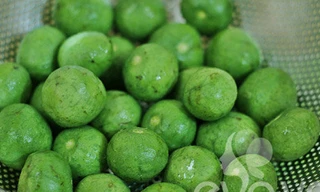 Sấu đem cạo vỏ chứ không gọt, rửa sạch, để thật ráo nước trước khi cho vào tủ bảo quản