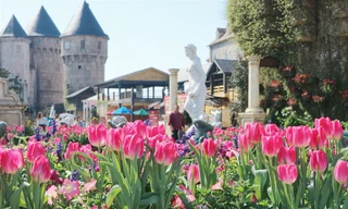 Đón Tết thật phong cách với triệu hoa tulip trên đỉnh Bà Nà