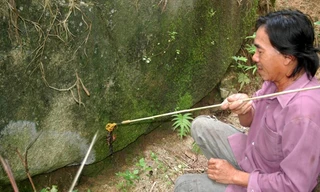 Cua núi chỉ xuất hiện trong những tháng mùa mưa. Người dân tranh thủ săn loài này để phục vụ cho các nhà hàng, quán nhậu. Ảnh Ngọc Trinh. 