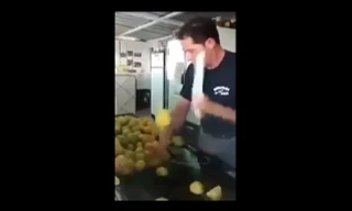 Kỹ năng bổ cam như ninja