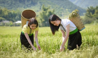 Thiếu nữ xinh đẹp mặc đồ dân tộc ở Mù Cang Chải được tìm kiếm rần rần