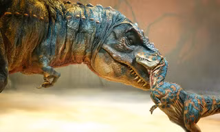 Khủng long bạo chúa được cho là có phần mũi rất nhạy cảm. Ảnh: Dinosaurlive.