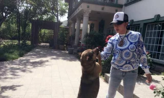 Choáng với căn biệt thự 'rộng như công viên' của 'Võ Tắc Thiên' Lưu Hiểu Khánh