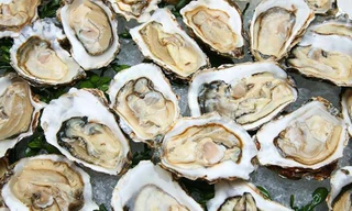 Một phụ nữ tử vong sau khi ăn hàu sống