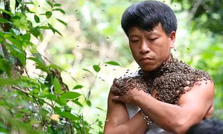 Nghìn con ong rừng đậu kín mặt 'dị nhân' Điện Biên