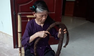 Cận cảnh “bộ tóc rồng” dài gần 3m