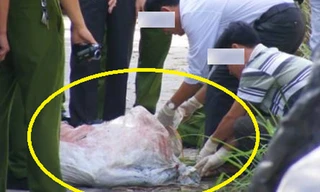 Ảnh minh họa: Internet