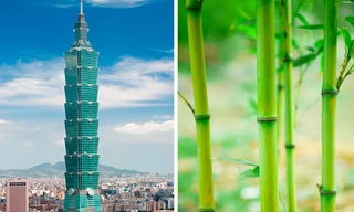 Những tòa nhà nổi tiếng lấy cảm hứng từ cây cỏ