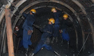 Nhọc nhằn xẻ lòng đất để kiếm “vàng đen” - Ảnh: Phan Hiện/ Thanh Niên