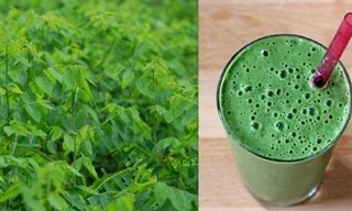 Những công dụng tuyệt vời của rau ngót