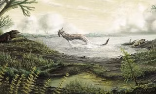 Hình ảnh phác họa những con vật đầu tiên đi lại trên đất liền tại Scotland. Ảnh: Mark Witton.