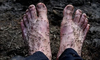 Hiện bức ảnh nhận được hơn 40.000 lượt xem.