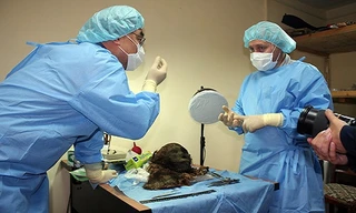 Người phụ nữ được chôn cất cao khoảng 155 cm. Ảnh: Siberian Times.