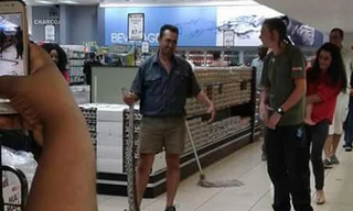 Mở tủ lạnh lấy sữa chua, gặp trăn dài 4 m