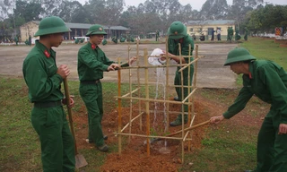 Sư đoàn 324 sôi nổi các hoạt động Tết Ất Mùi