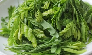 Các bệnh ngoài da một đi không trở lại với nắm lá me