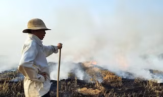 Đốt rơm rạ: Lãng phí tài nguyên, ô nhiễm môi trường