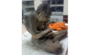 Xác ướp ngồi thiền được tìm thấy ở Mông Cổ. Ảnh: Mongolia Morning News