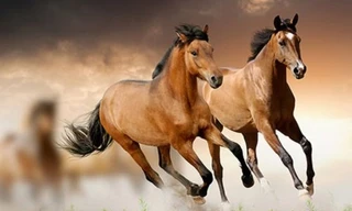 Tháng 2, con giáp nào làm ăn gặp 'thiên thời, địa lợi' nhất?