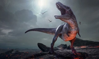 Việc tàn phá thiên nhiên vô tội vạ của con người đã khiến Trái Đất có nguy cơ xảy ra cuộc đại tuyệt chủng lần thứ 6 và sự kiện tuyệt chủng này diễn ra hết sức khủng khiếp giống như từng hủy diệt hoàn toàn loài khủng long.