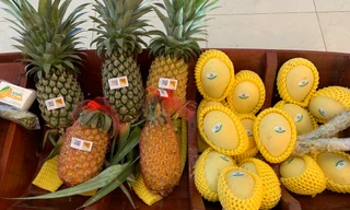 VNPT giới thiệu giải pháp CNTT cho nông nghiệp công nghệ cao