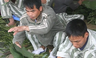 Một buổi lao động tại nhà ăn trong phân trại 1 trại giam Phú Sơn. Ảnh: Việt Dũng.