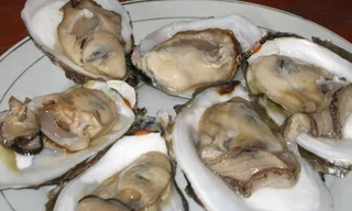 Lưu ý để ăn món hàu sống đảm bảo an toàn