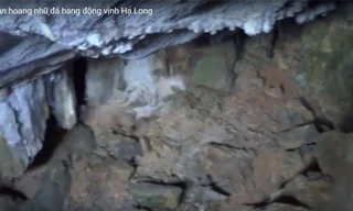 Tan hoang nhũ đá hang động vịnh Hạ Long