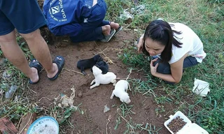 Nhóm bạn trẻ làm gì khiến dân mạng rào rào khen ngợi