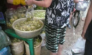 Dưa “ngự” trong thùng nhựa.