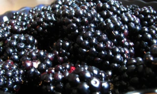 Quả mâm xôi tăng bản lĩnh đàn ông?