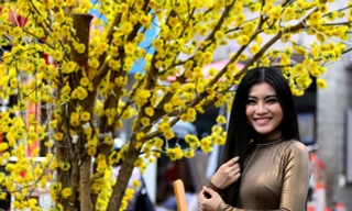 Thiếu nữ Sài Gòn thướt tha tà áo dài xuống phố ông đồ